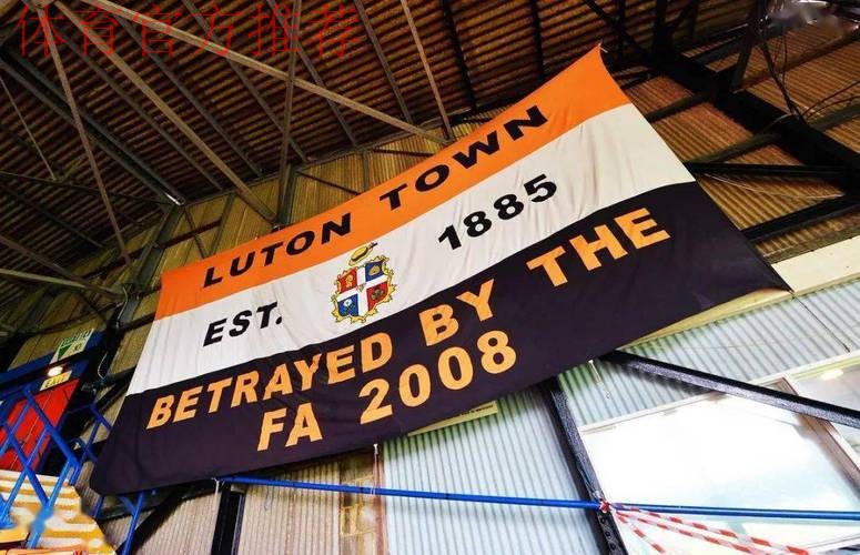 英格兰球迷抗议世界杯高票价致信英足总