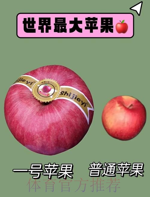 世界杯外围苹果全站